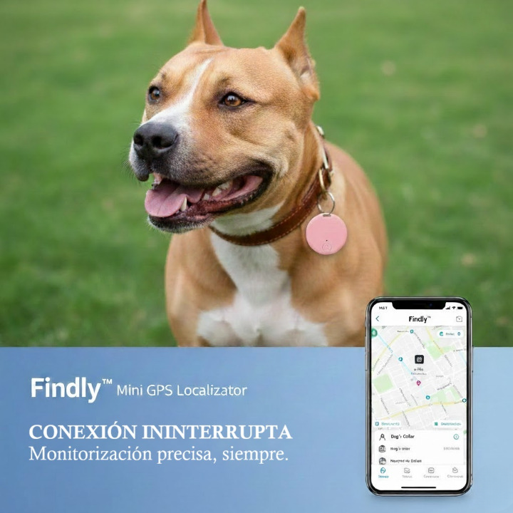 Findly™ Mini GPS Localizador [Seguridad y control en tiempo real]