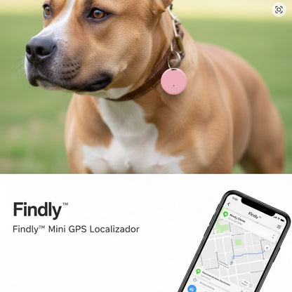 Findly™ [Seguridad y control en tiempo real]